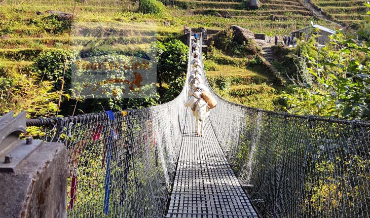 Suspension bridge of way to Tusm Valley 